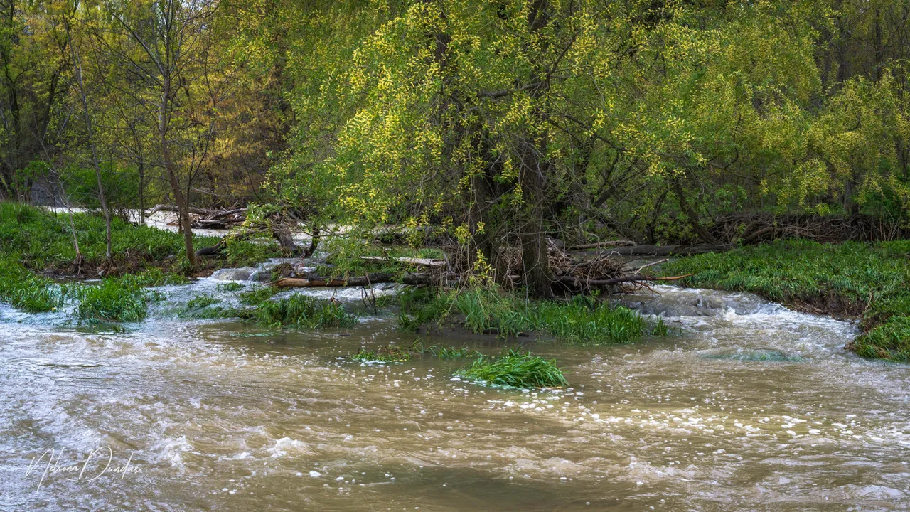 INTERNATIONAL YOUTH DAY 2024: ENGAGING OUR LEADERS OF TODAY FOR A BETTER TOMORROW